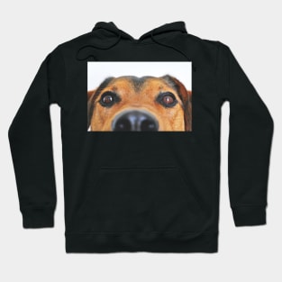 Cute Dog Face Hoodie